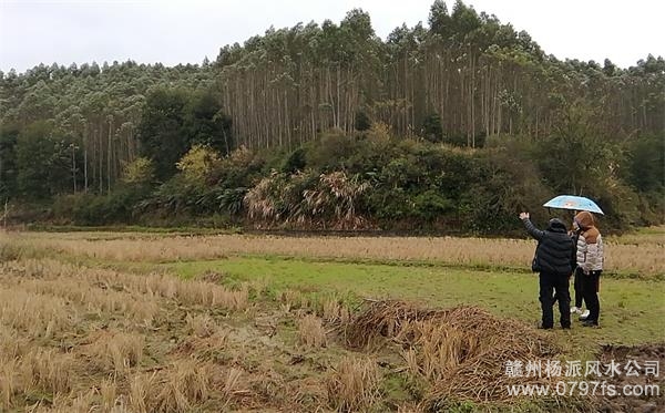 河西区陈老师带着爱徒寻龙点穴